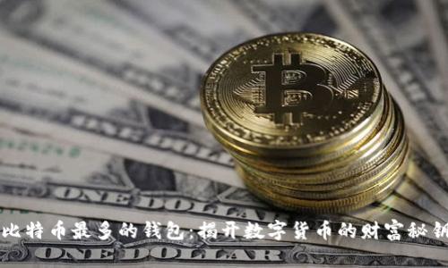 比特币最多的钱包：揭开数字货币的财富秘钥