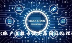 TPWallet账户未提币消失原因
