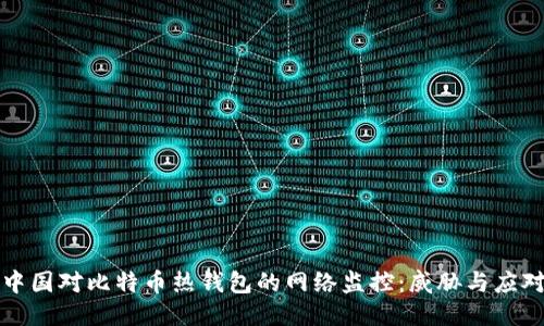 中国对比特币热钱包的网络监控：威胁与应对