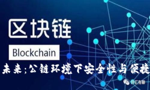 区块链钱包的未来：公链环境下安全性与便捷性的完美结合