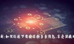  全面解析：如何迅速下载