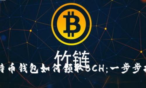 比特币钱包如何领取BCH：一步步指南