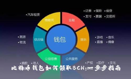 比特币钱包如何领取BCH：一步步指南