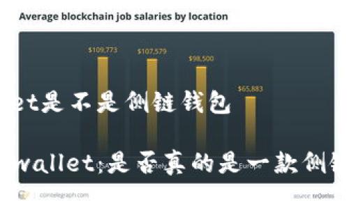 tpwallet是不是侧链钱包

探究tpwallet：是否真的是一款侧链钱包？
