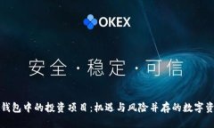 以太坊钱包中的投资项目