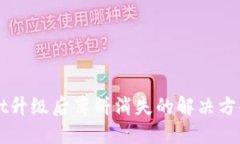 TPWallet升级后薄饼消失的解决方案与对策