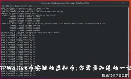 TPWallet币安链的虚拟币：你需要知道的一切