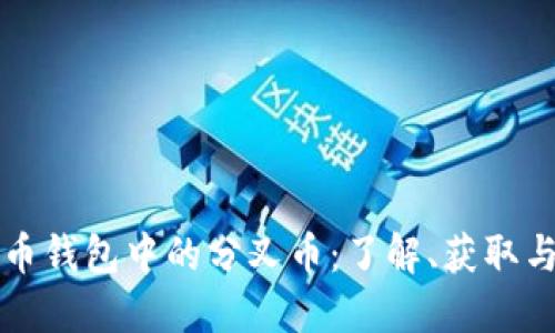比特币钱包中的分叉币：了解、获取与管理