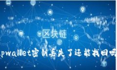 tpwallet密钥丢失了还能找回吗？