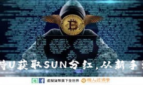 如何通过TPWallet持U获取SUN分红,从新手到高手的全方位指南