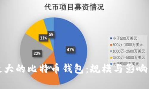 揭秘最大的比特币钱包：规模与影响力分析