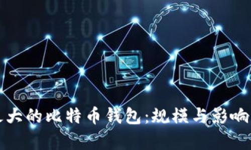 揭秘最大的比特币钱包：规模与影响力分析