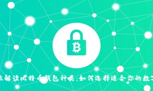 全方位解读比特币钱包种类：如何选择适合你的数字钱包