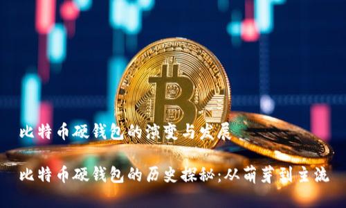 比特币硬钱包的演变与发展

比特币硬钱包的历史探秘：从萌芽到主流