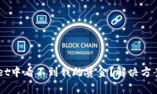 为什么在TPWallet中看不到我的资金？解决方案与常见问题解析