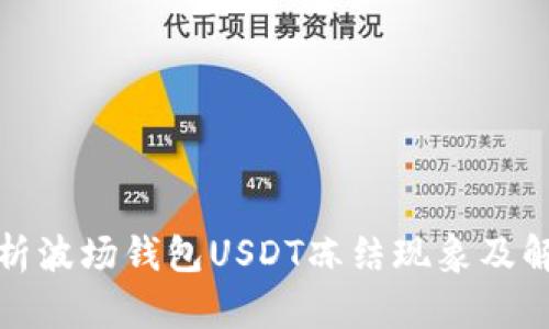 全面解析波场钱包USDT冻结现象及解决方案