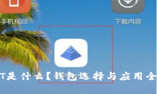 USDT是什么？钱包选择与应用全解析