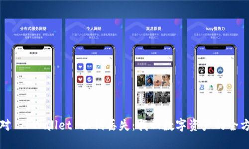 如何应对 TPWallet 私钥丢失：找回数字资产的全方位指南