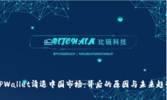 TPWallet清退中国市场：背后的原因与未来趋势