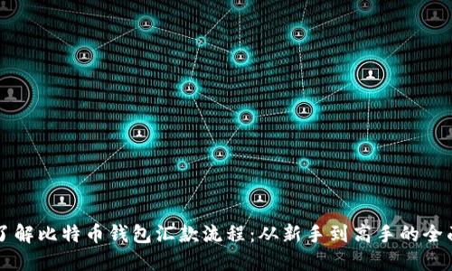 深入了解比特币钱包汇款流程：从新手到高手的全面指南