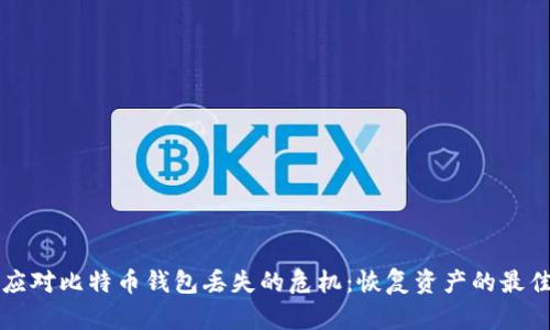 如何应对比特币钱包丢失的危机：恢复资产的最佳方法
