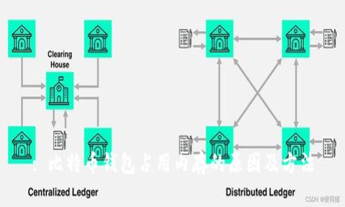 : 比特币钱包占用内存的原因及方法
