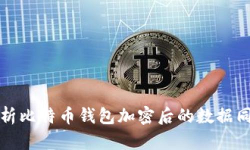 全面解析比特币钱包加密后的数据同步过程
