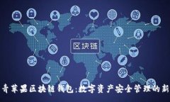 :探索青苹果区块链钱包：数字资产安全管理的新