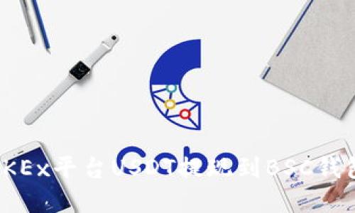 轻松实现OKEx平台USDT提现到BSC钱包的全攻略