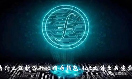为什么保护你的比特币钱包.dat文件至关重要？