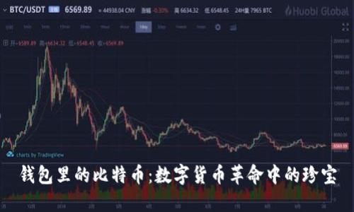 钱包里的比特币：数字货币革命中的珍宝