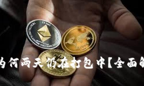 tpwallet转账为何两天仍在打包中？全面解析与解决方案