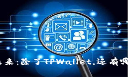 探索区块链钱包的未来：除了TPWallet，还有哪些值得关注的选择？