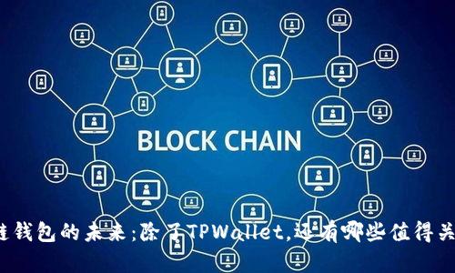 探索区块链钱包的未来：除了TPWallet，还有哪些值得关注的选择？