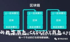 安全便捷的数字钱包：CKOKPAY钱包app下载指南