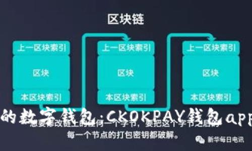 安全便捷的数字钱包：CKOKPAY钱包app下载指南