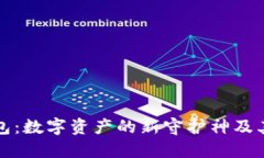 区块链钱包：数字资产的新守护神及其庞大价值