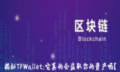 揭秘TPWallet：它真的会盗取你的资产吗？