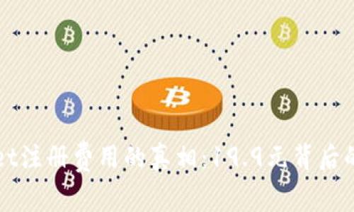 揭开TPWallet注册费用的真相：19.9元背后的价值与优势