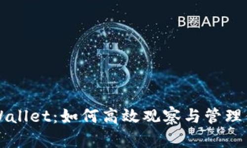 全面分析TPWallet：如何高效观察与管理你的数字资产
