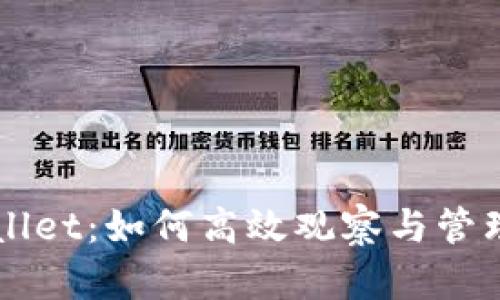全面分析TPWallet：如何高效观察与管理你的数字资产