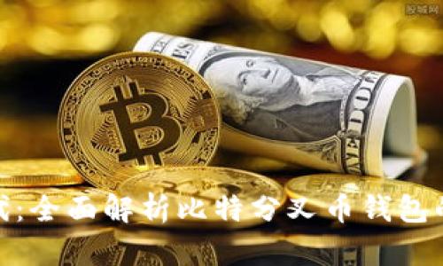 数字货币新时代：全面解析比特分叉币钱包的选择与安全性