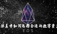 在TPWallet体系中如何选择合适的数字资产投资方向