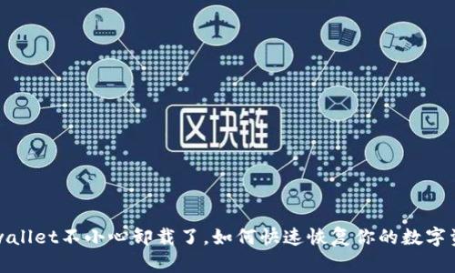 tpwallet不小心卸载了，如何快速恢复你的数字资产
