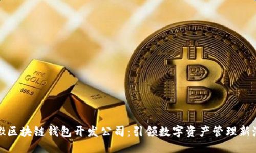 安徽区块链钱包开发公司：引领数字资产管理新潮流