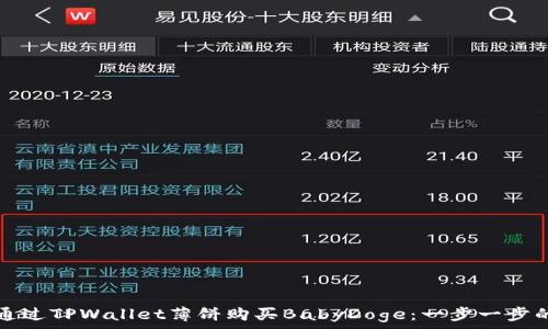  
如何通过TPWallet薄饼购买BabyDoge：一步一步的指南