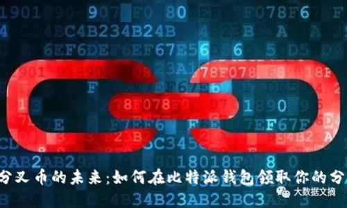 掌握分叉币的未来：如何在比特派钱包领取你的分叉币？