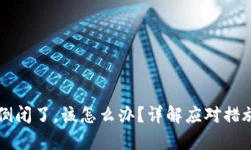 以太坊钱包倒闭了，该怎么办？详解应对措施与未来启示