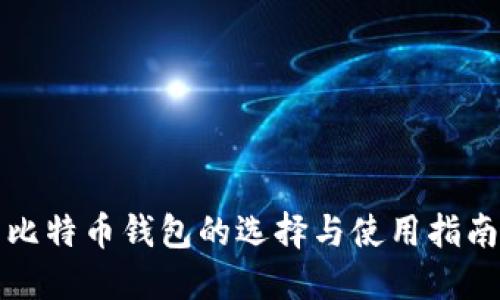 比特币钱包的选择与使用指南