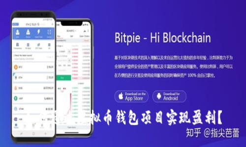 如何通过虚拟币钱包项目实现盈利？